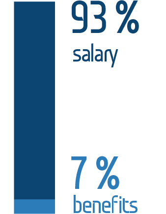 Breakdown of the 2015 compensation package by the Group’s Russian operations